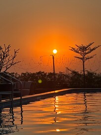 Rooftop pool at sunset.