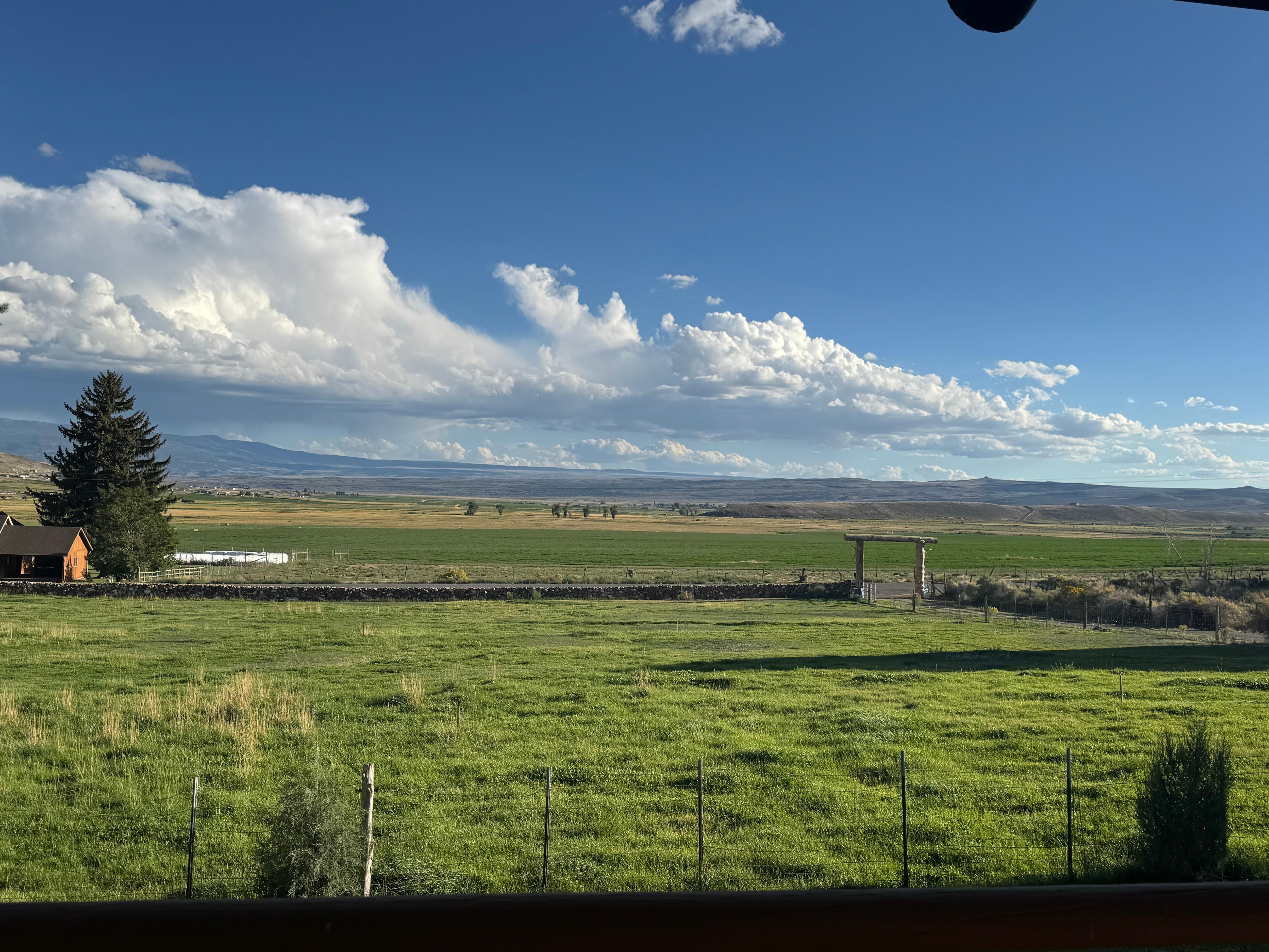 The view from the porch