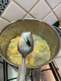 Cockroach fell in while cooking