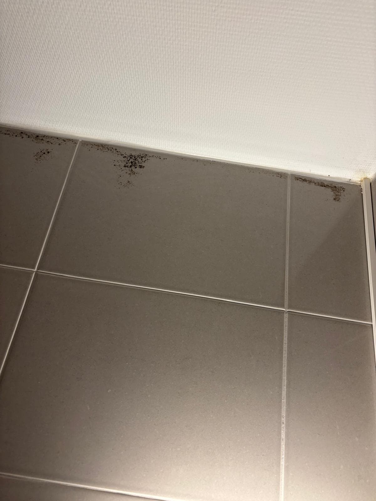 Schimmel im Bad.