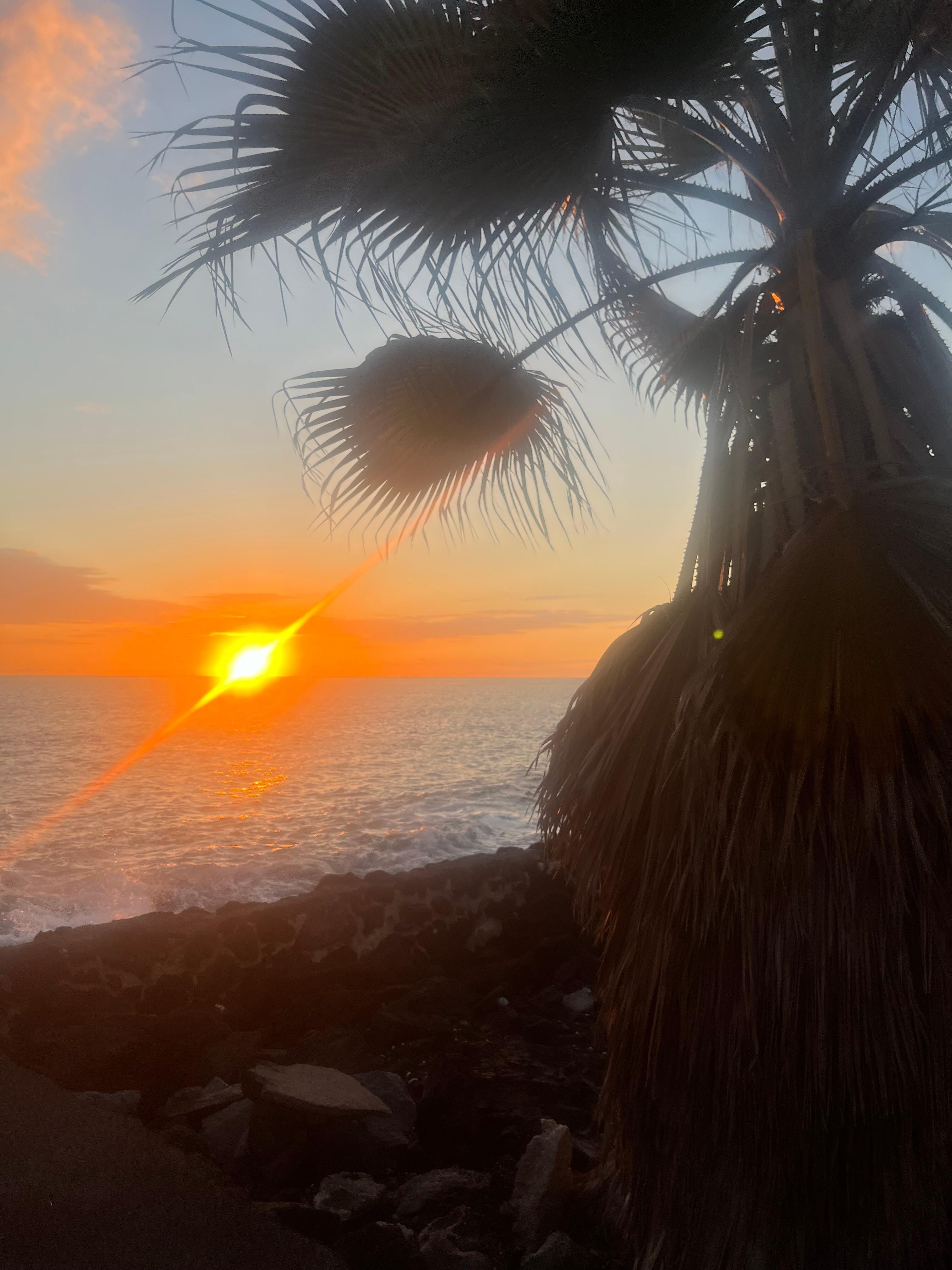 The sunset on our last night in Hawaii from the property.