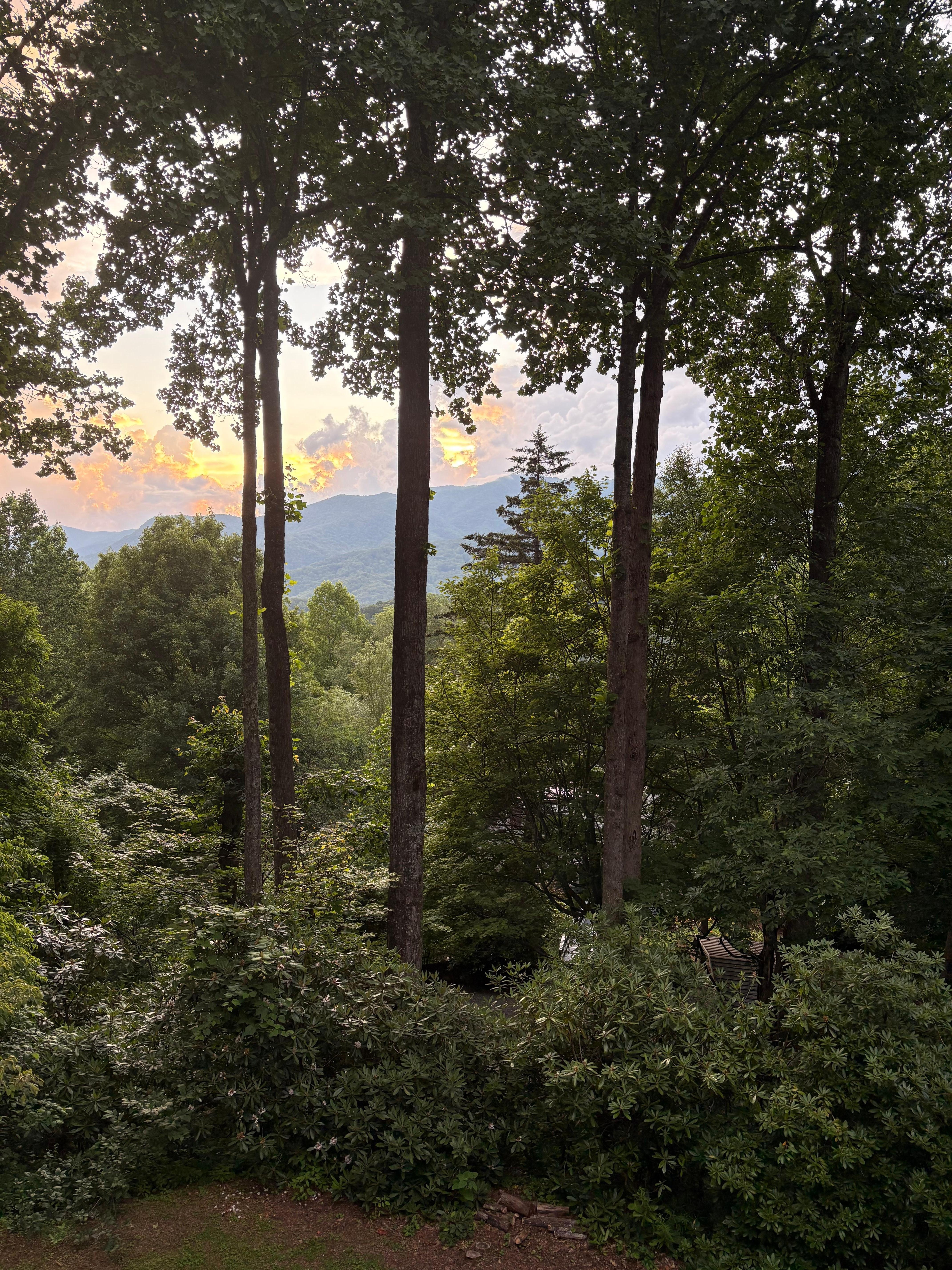 View from the covered porch. 