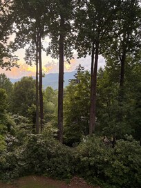 View from the covered porch.