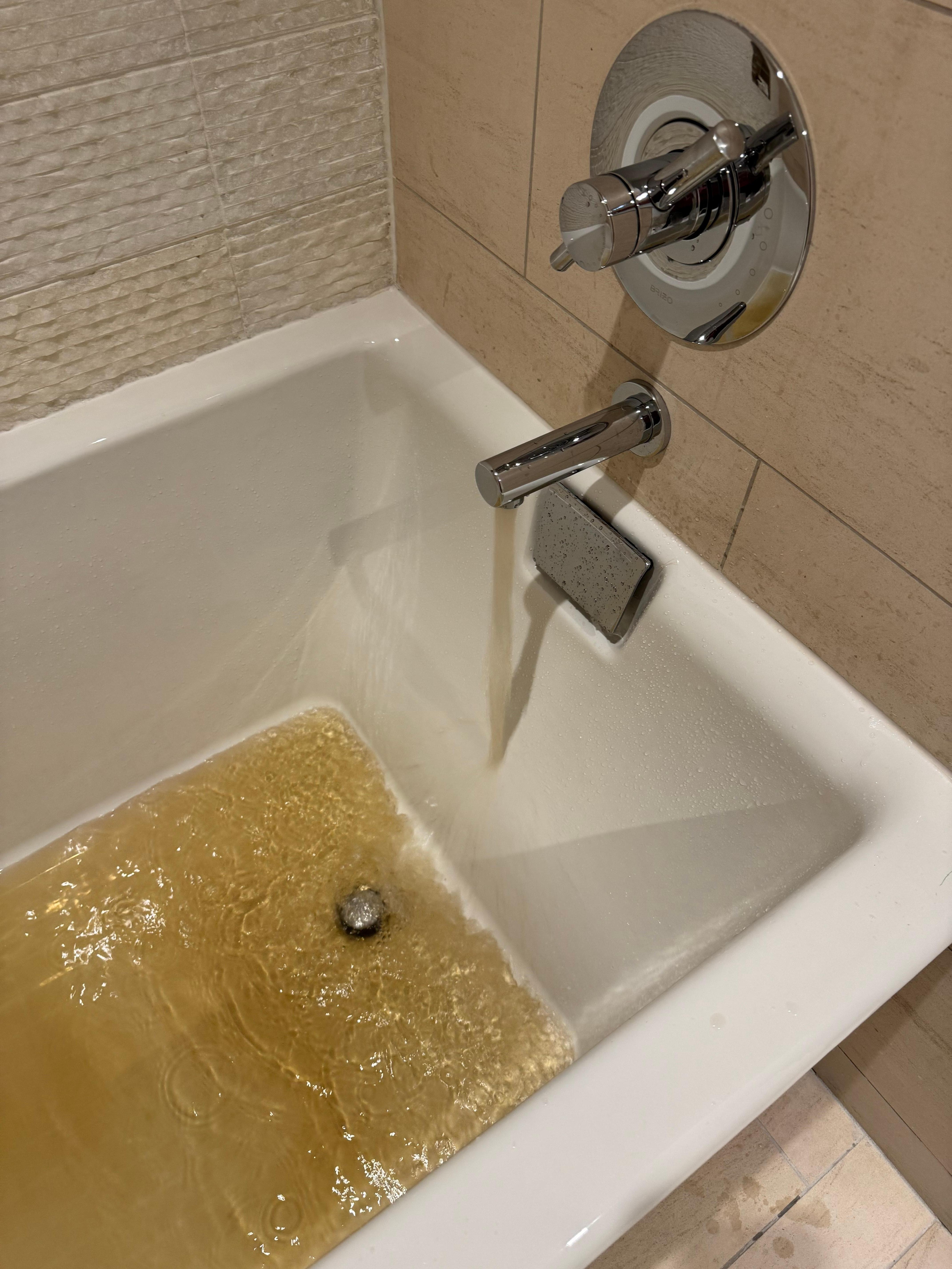 Rusty water and bathtub would not hold water