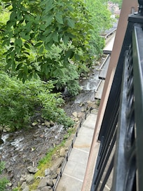 View of the creek