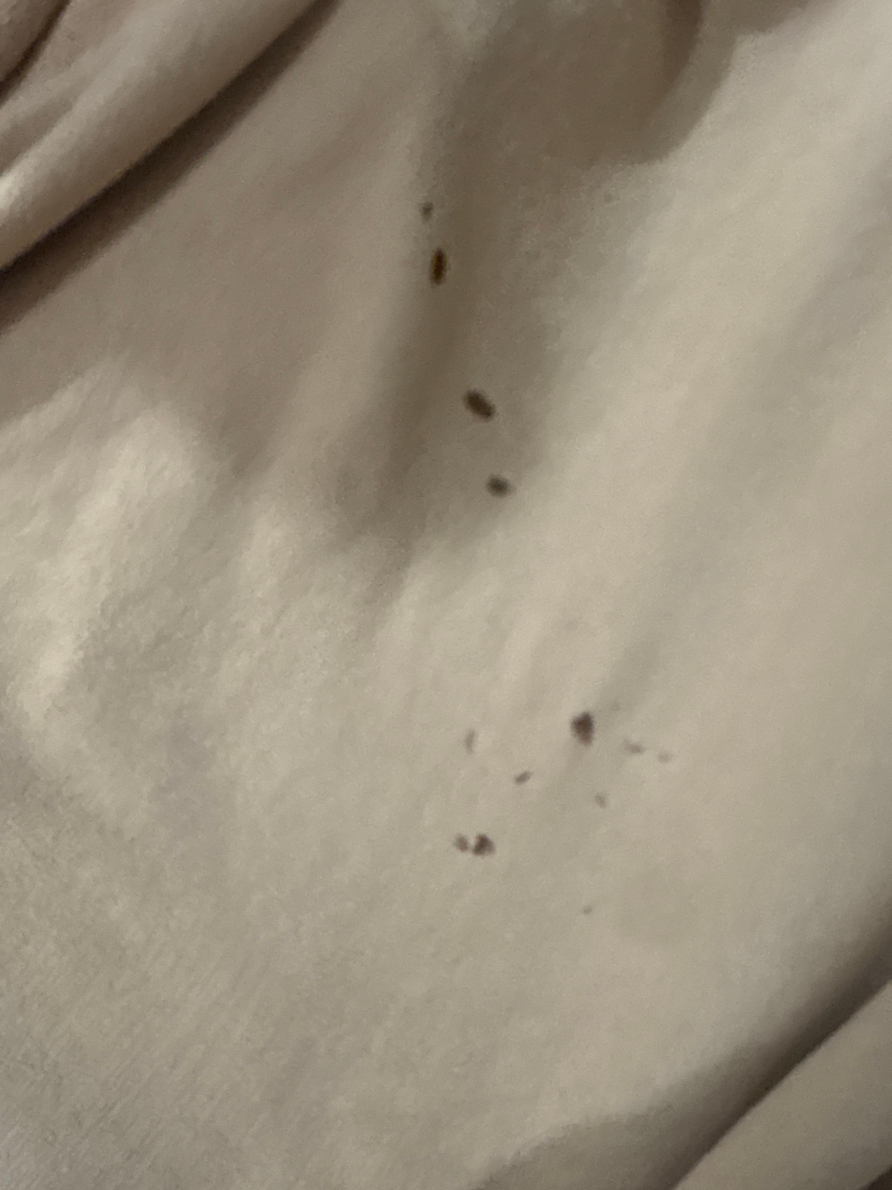 They give people sheets with burn holes 