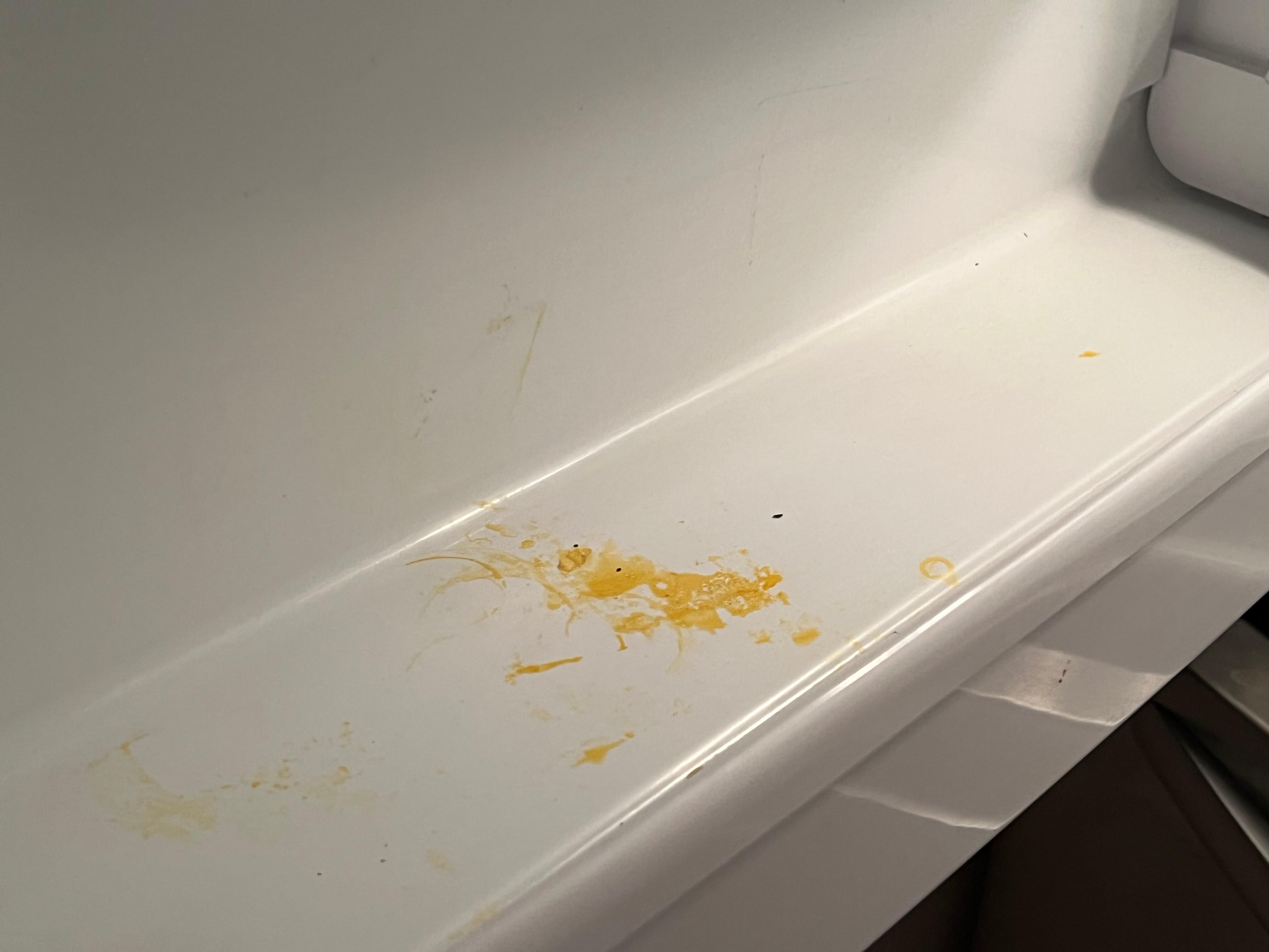 Refrigerator covered in food