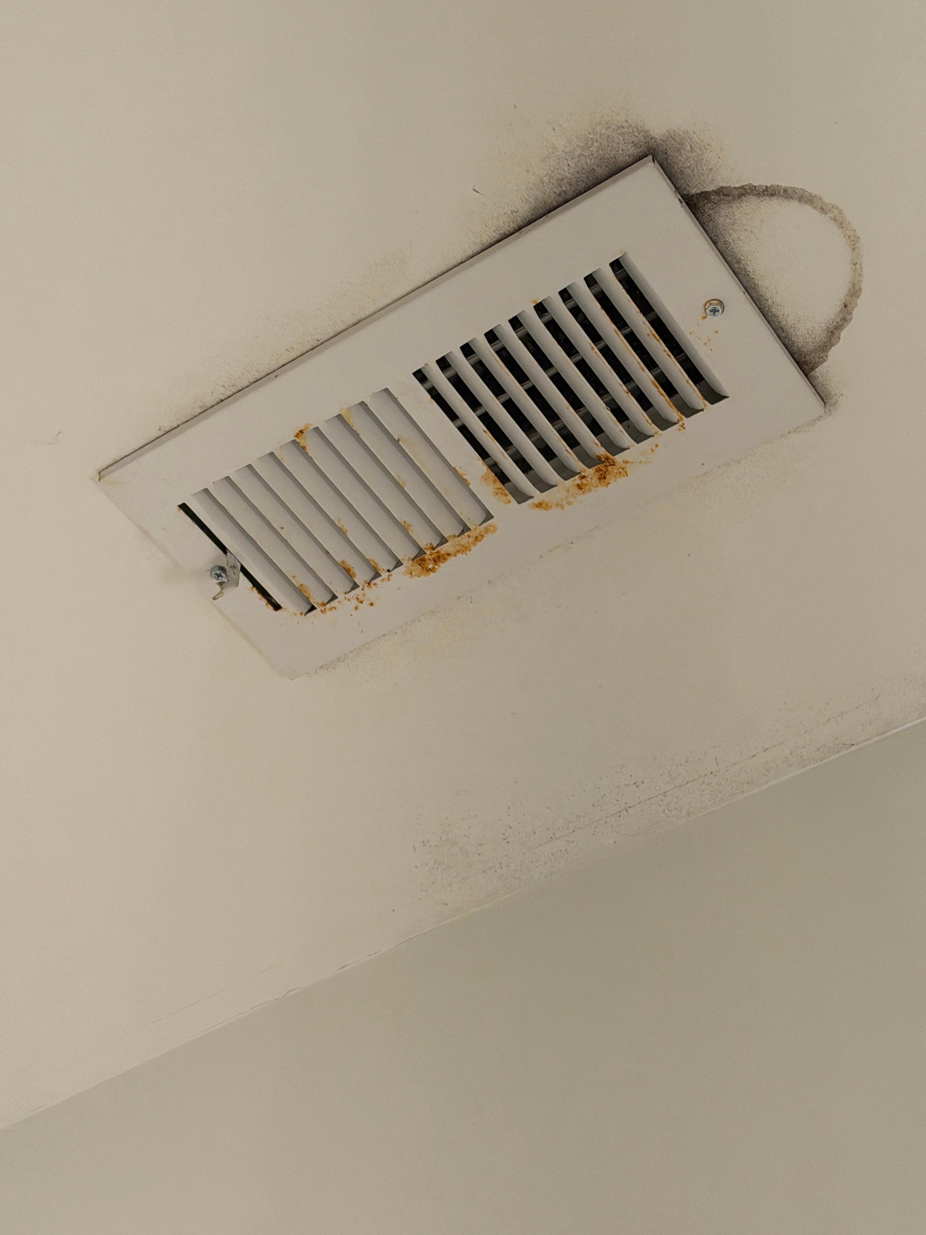 Rust and mold in multiple spots in multiple rooms. 