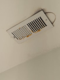 Rust and mold in multiple spots in multiple rooms.