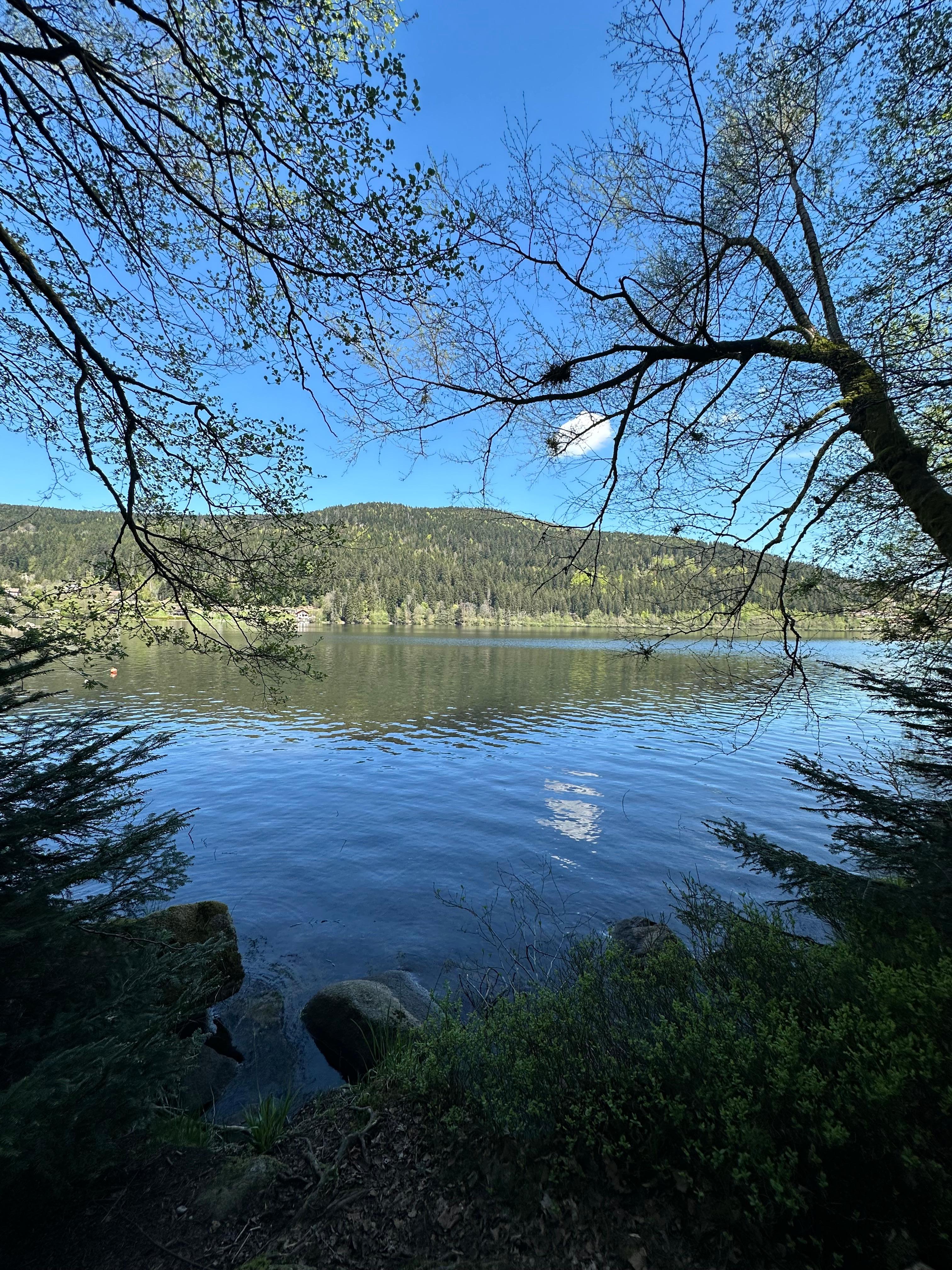 Tour du lac de Gerardmer