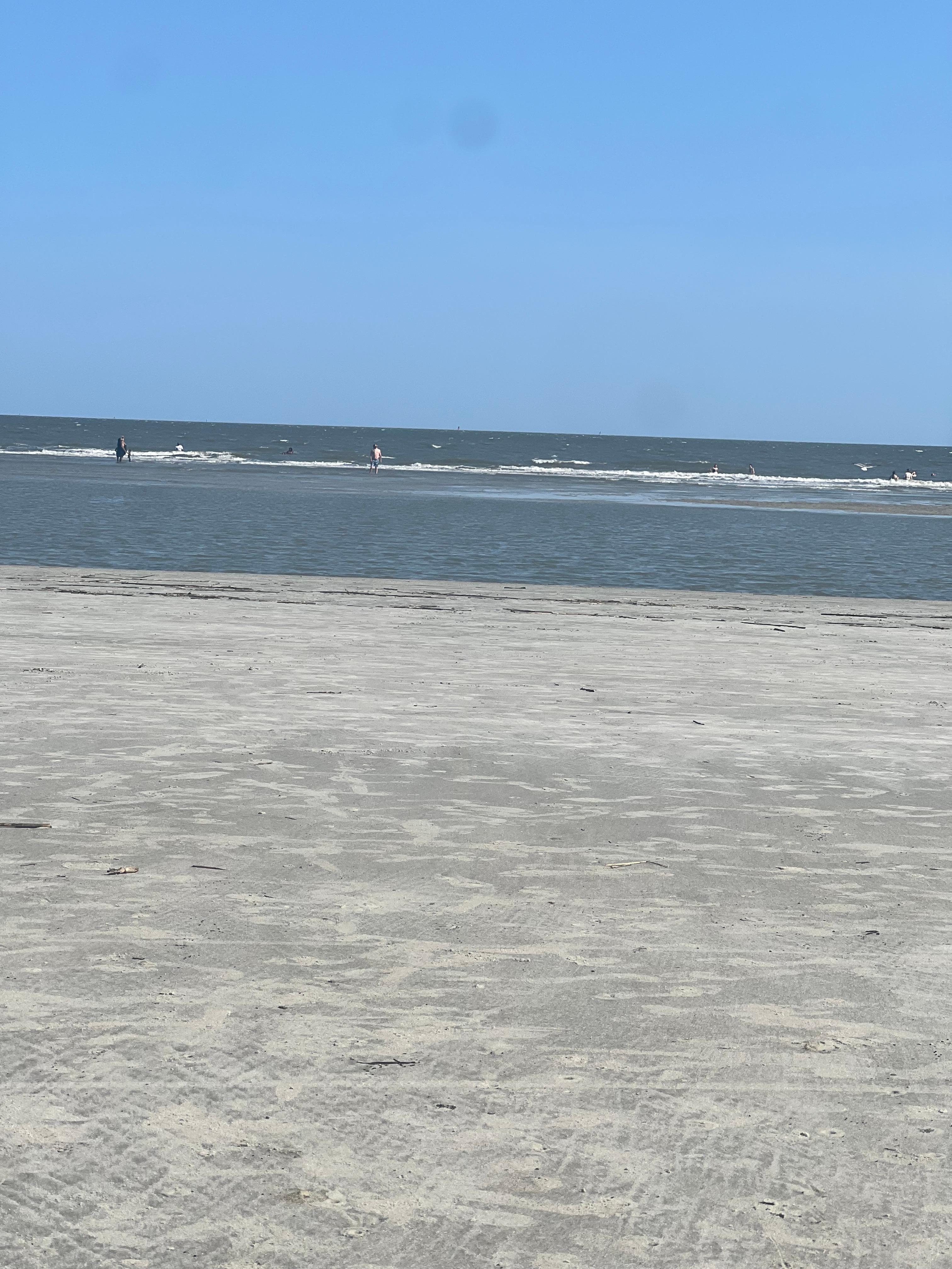 Low tide at the beach! 