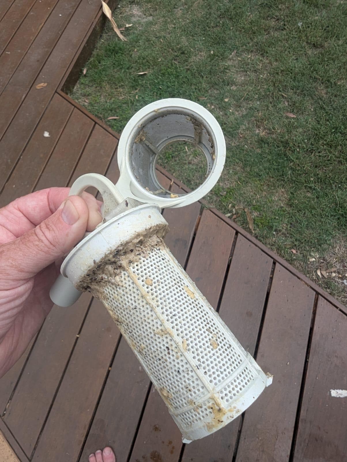 Dishwasher filter... Yum!