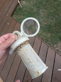 Dishwasher filter... Yum!