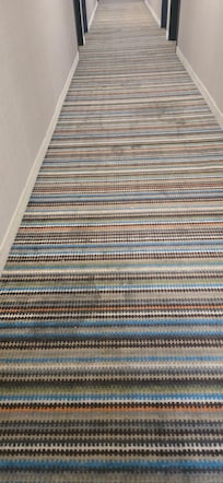Hallway Carpet, just gross