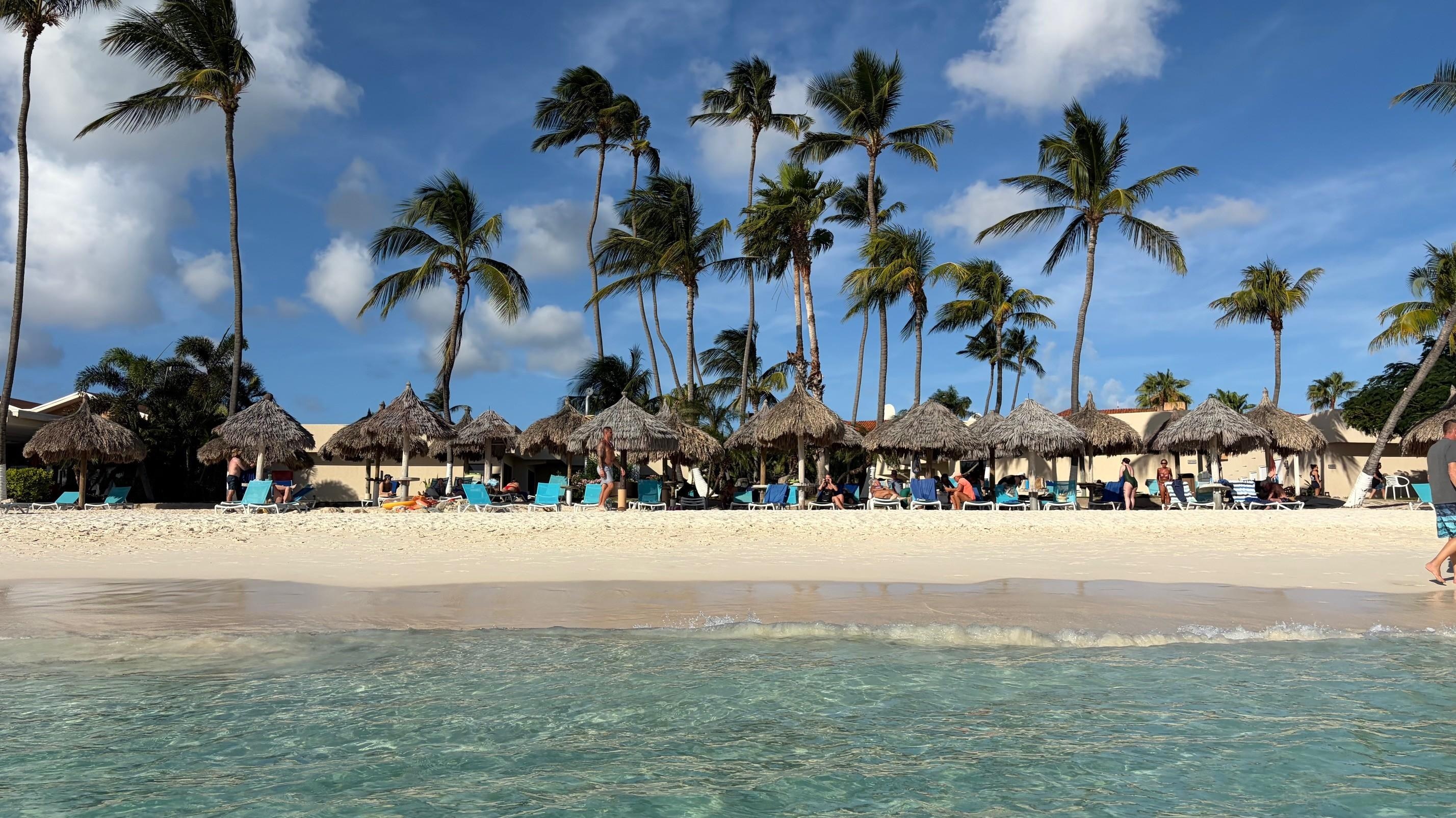 Divi sun beds 2 - Druif Beach