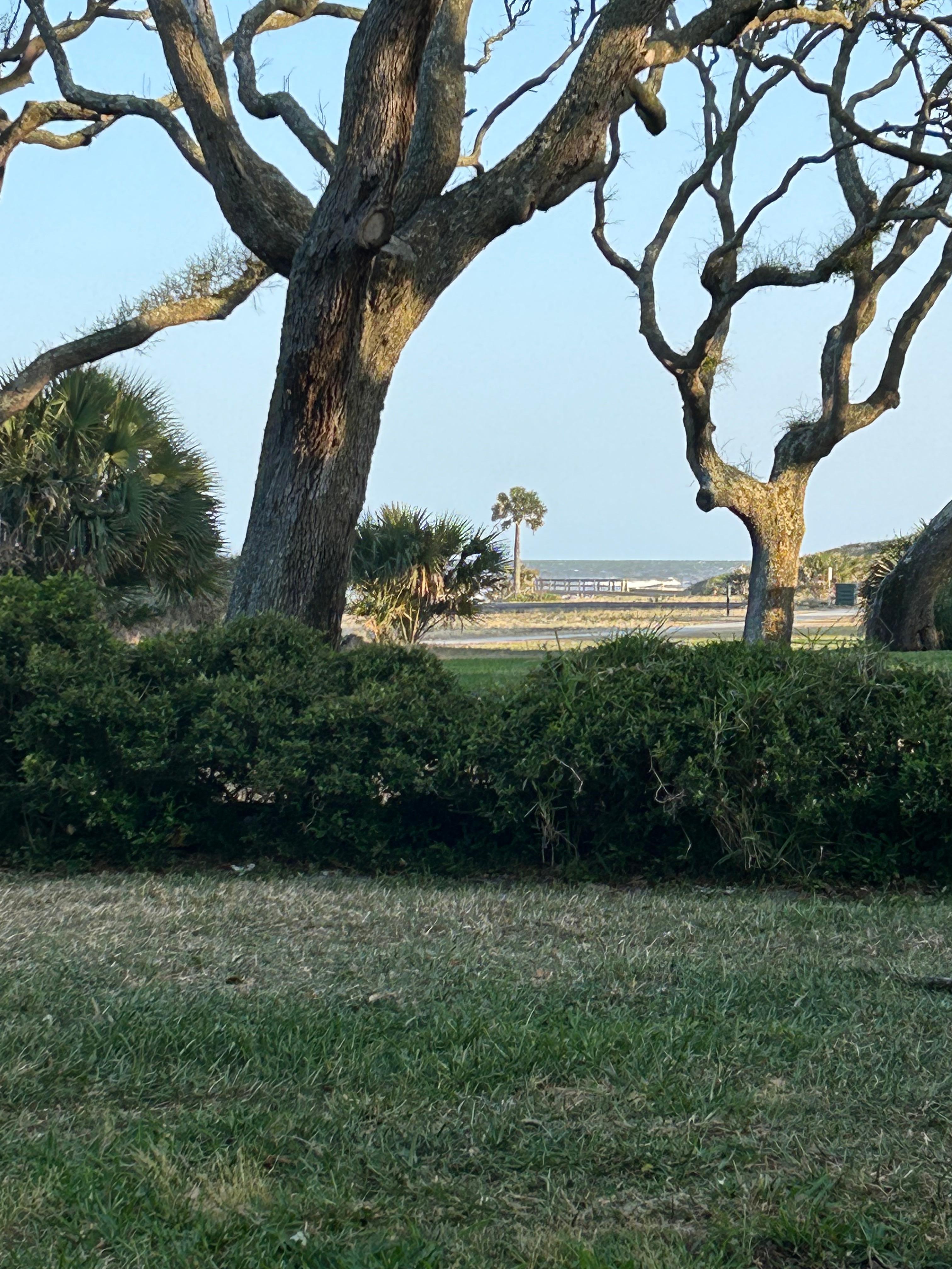 View from the yard