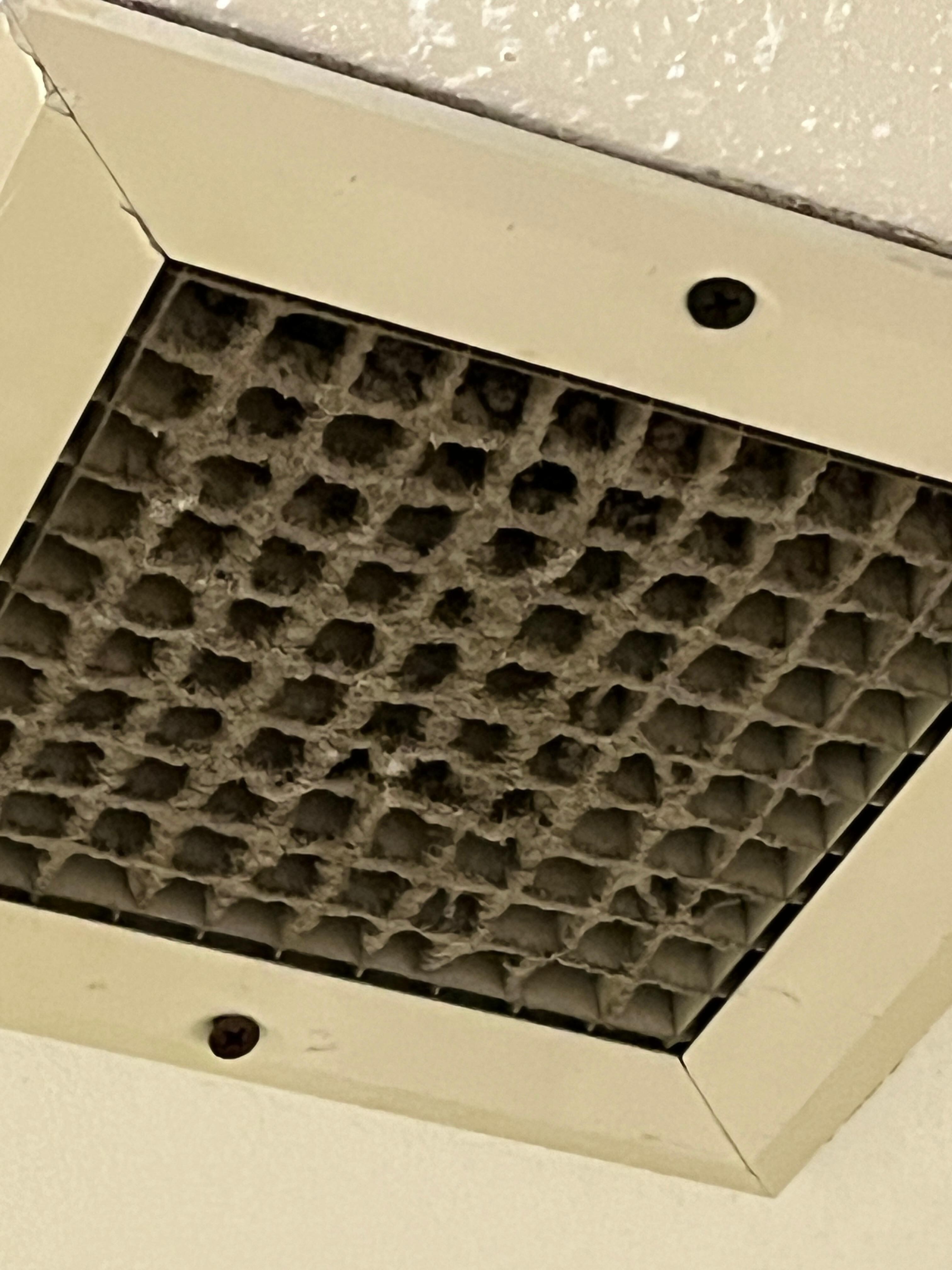 Bathroom vent caked with dust/dirt