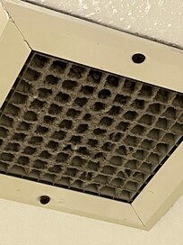 Bathroom vent caked with dust/dirt