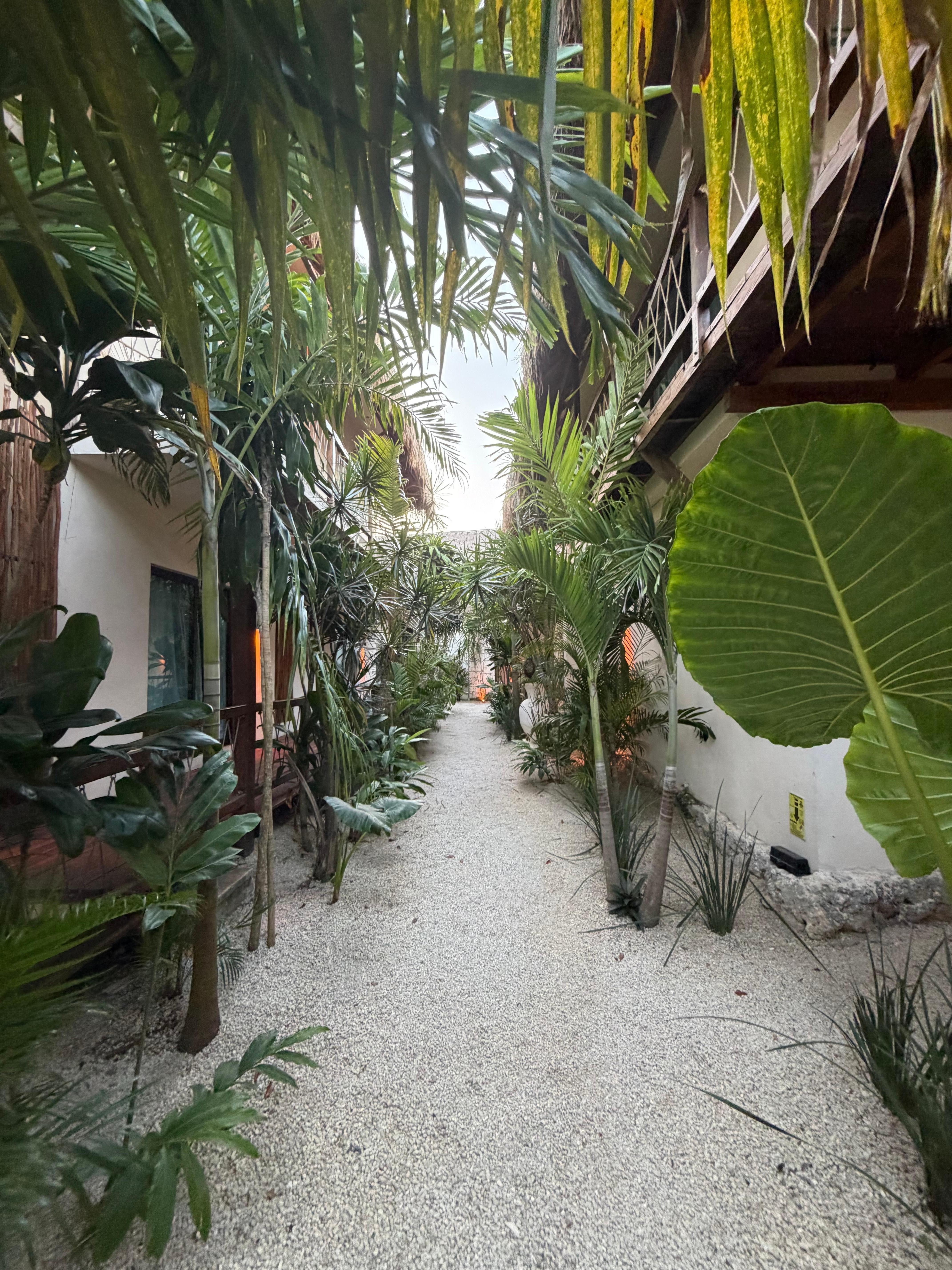 Every aspect is well placed and thought out the vibe is so welcoming and relaxing as soon as you go through the door