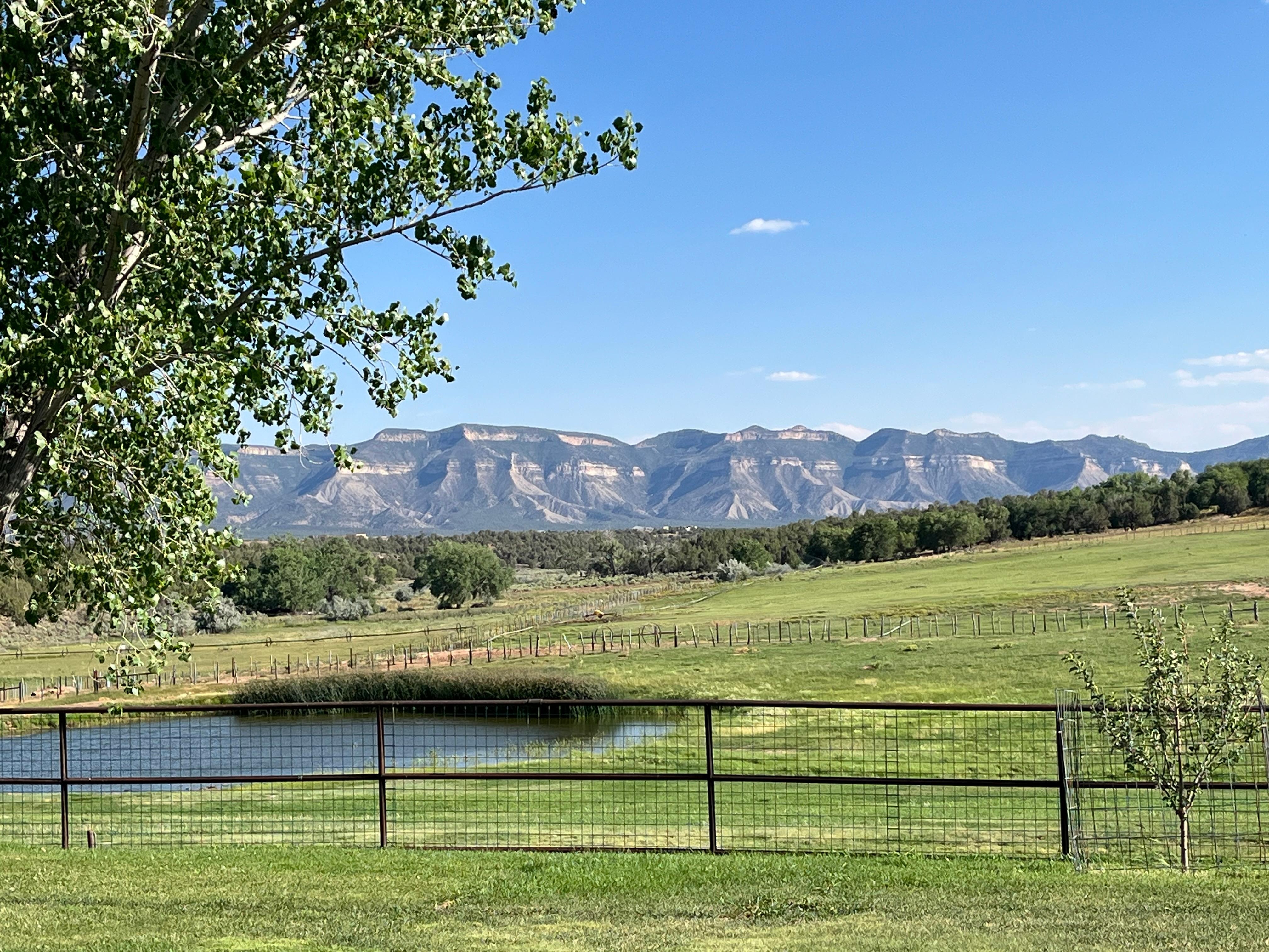The San Juan Mountains in the distance 