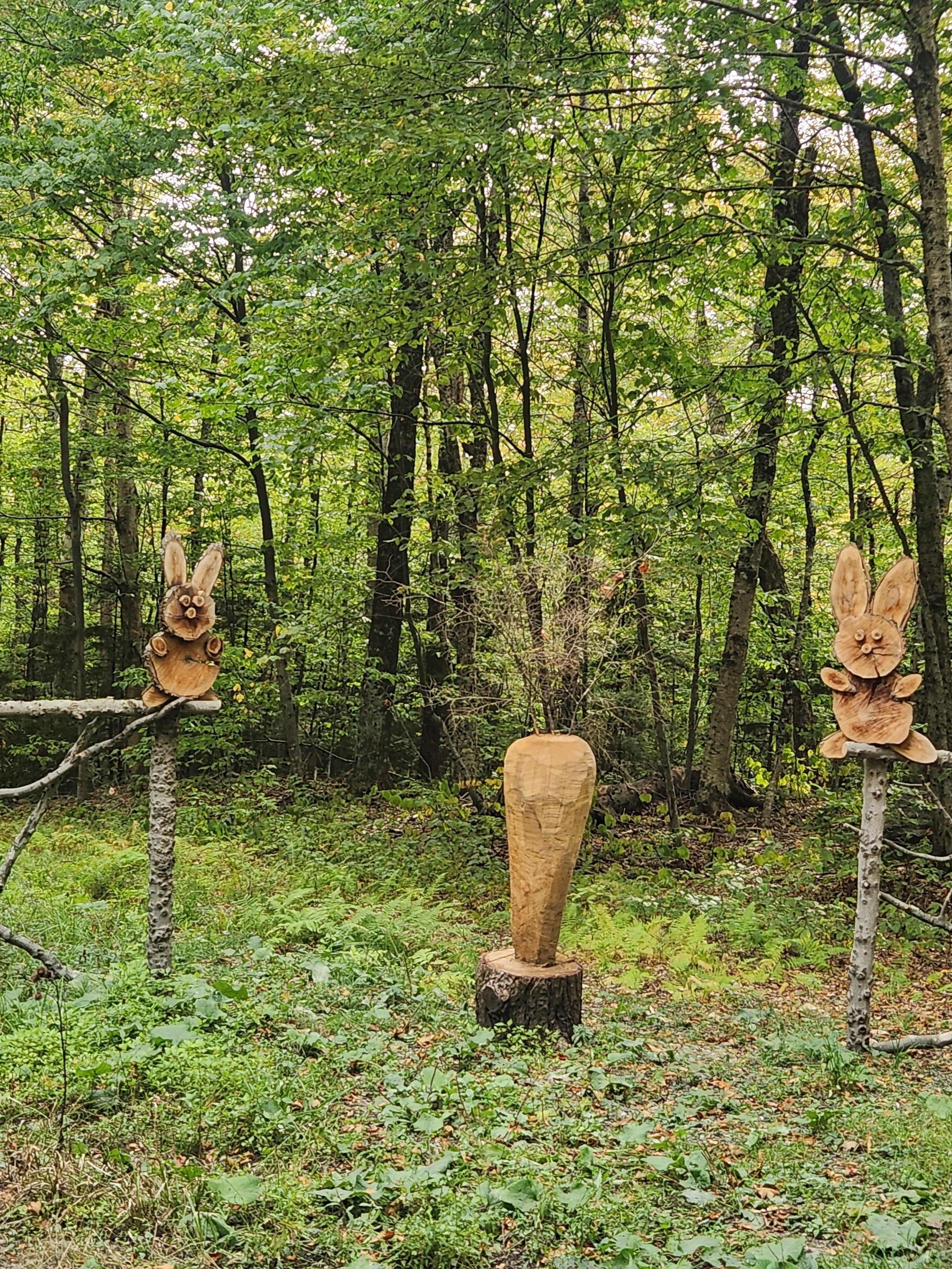 Otw to top of Mount Mansfield
