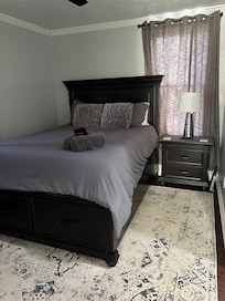 Bedroom in rear of house. Shotgun style house so kitchen is off bedroom,