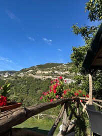 View from the breakfast patio.