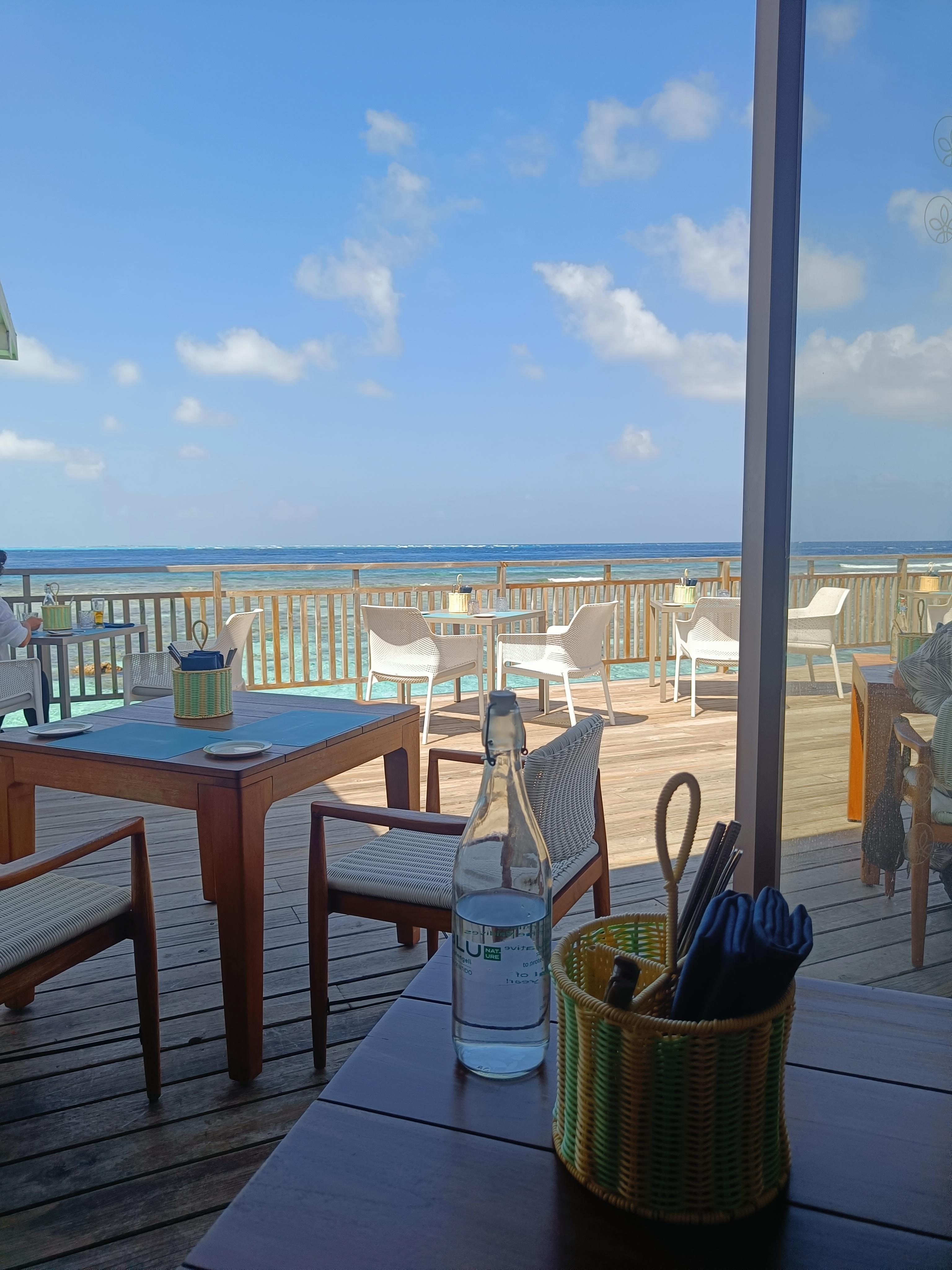 View from the dining room