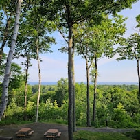 Morning view.