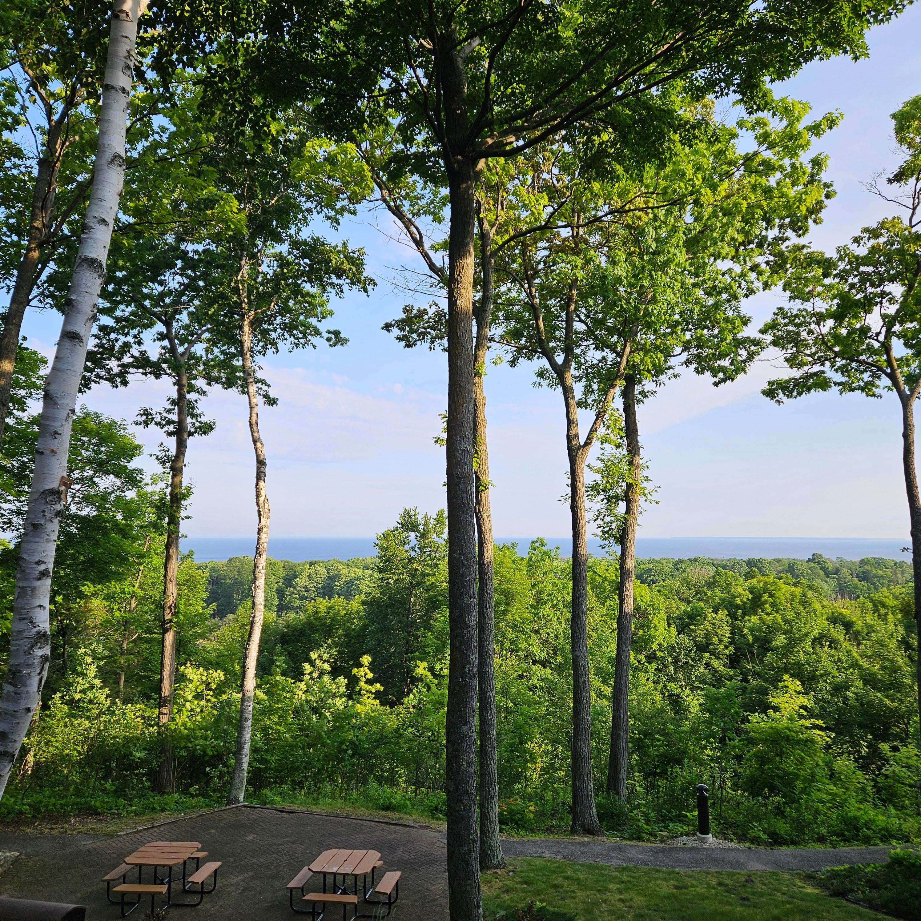Morning view.