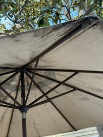 Pool umbrella