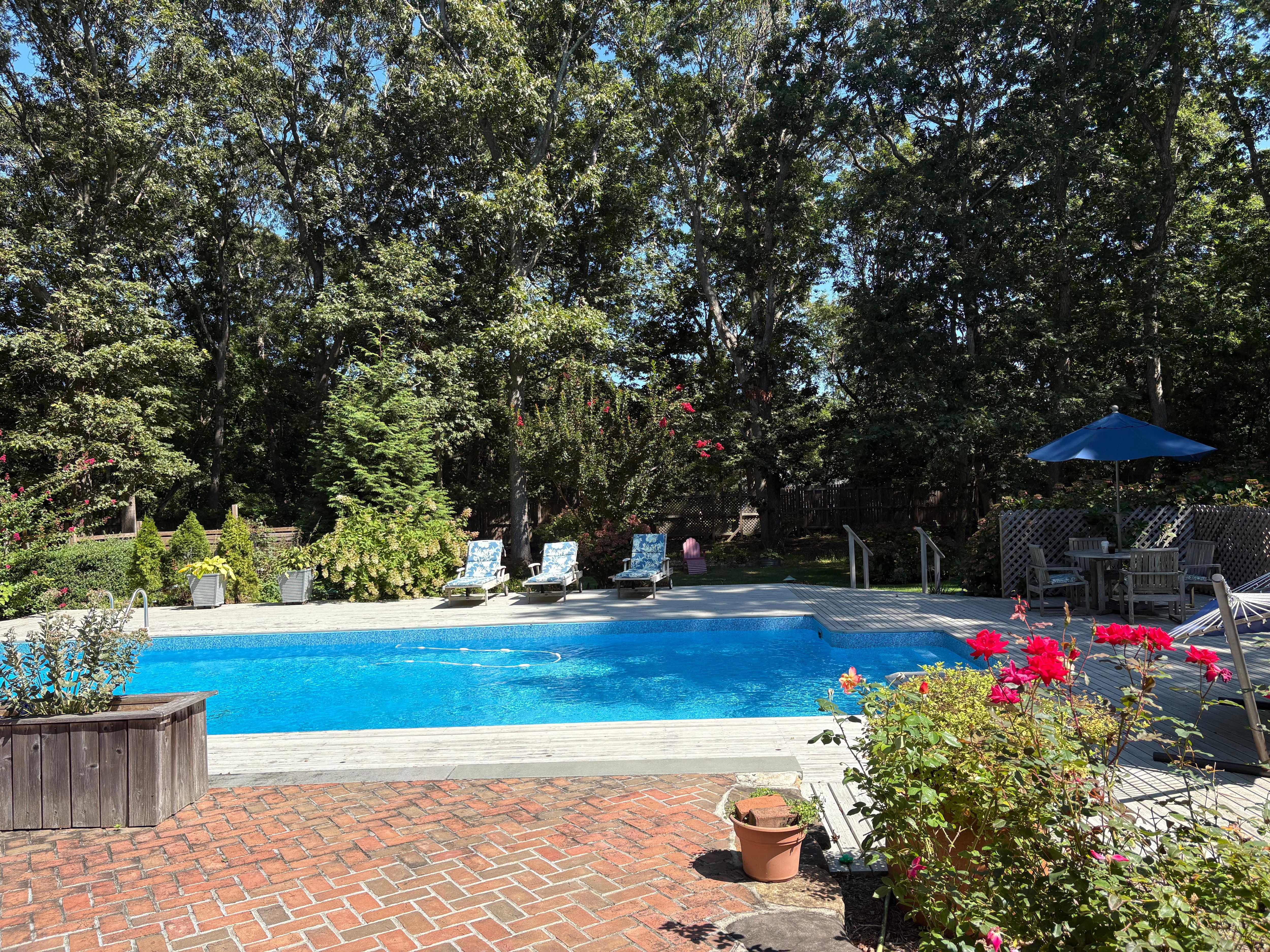 Beautiful Quiet backyard