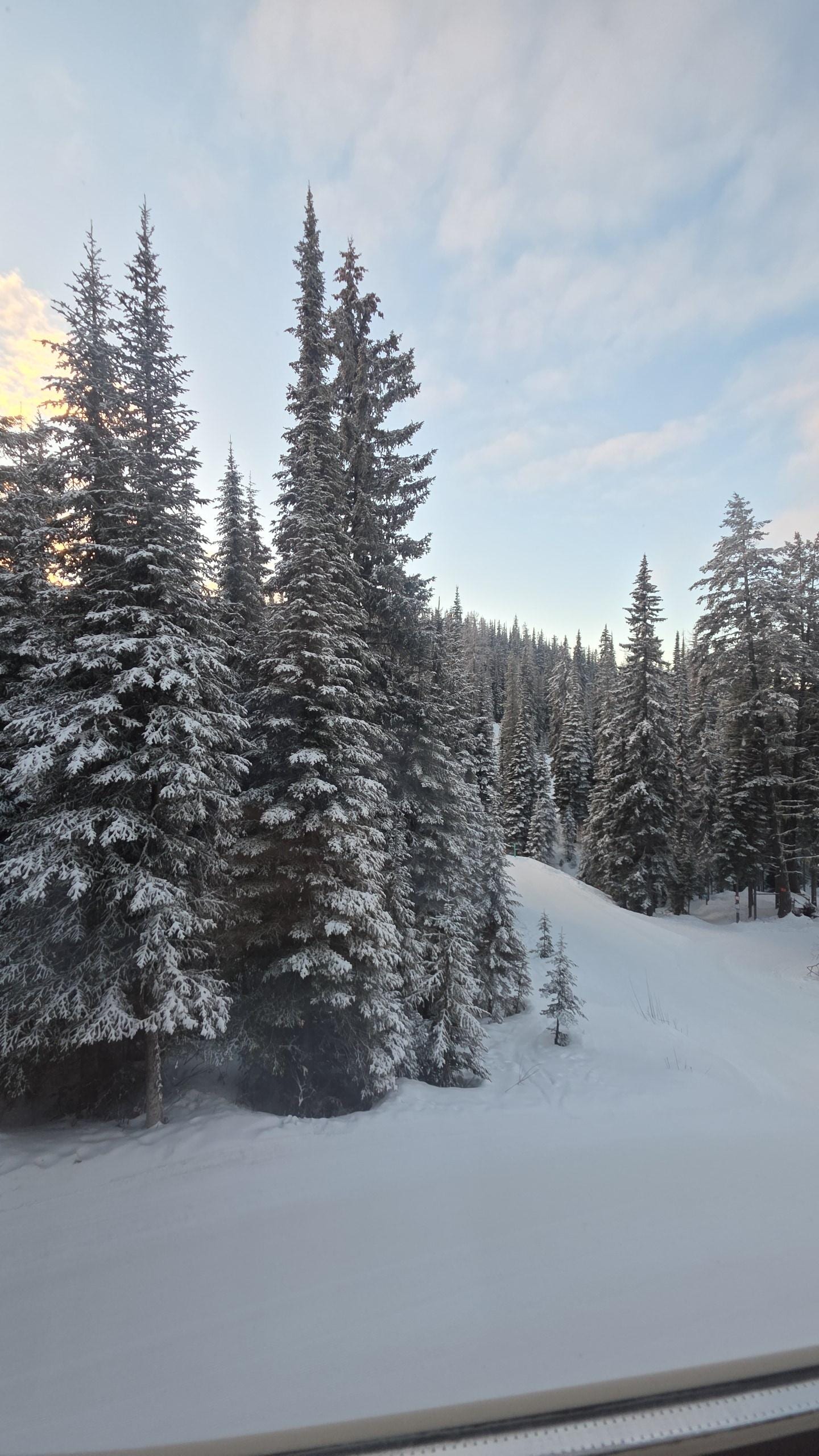 View from the living room window