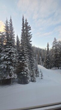 View from the living room window