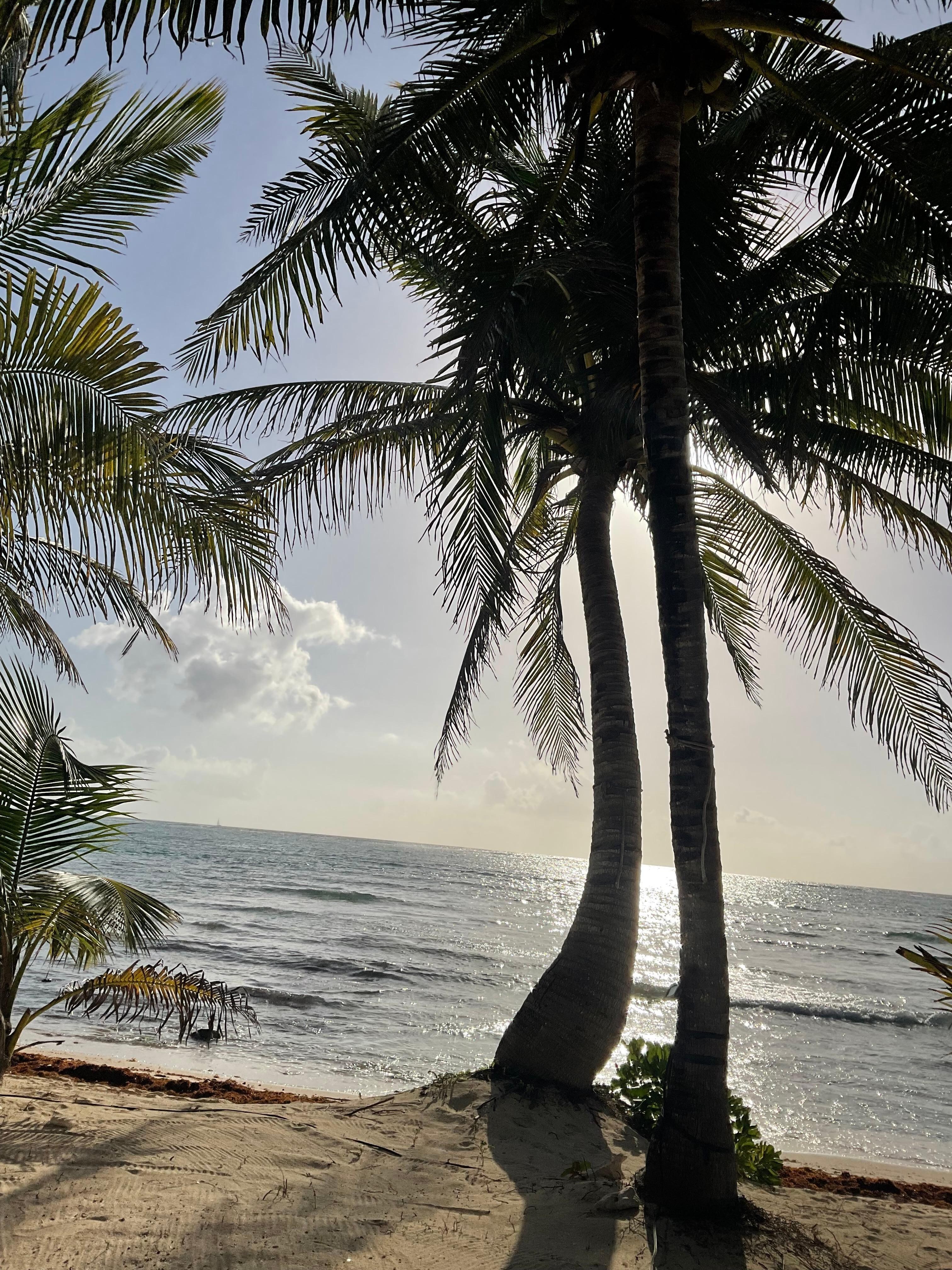 A great spot to watch the sun rise and have morning coffee. 