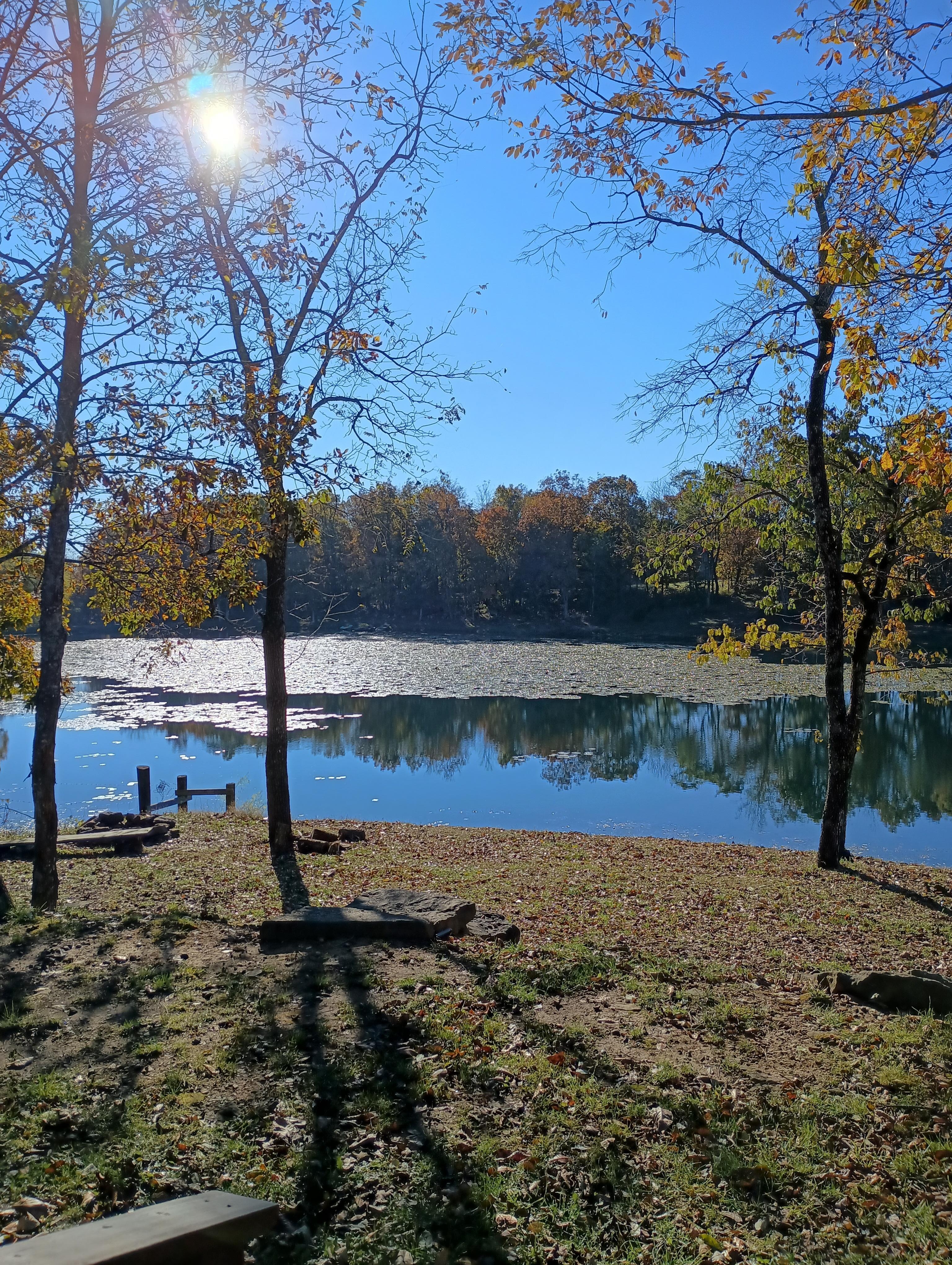 View from front porch.