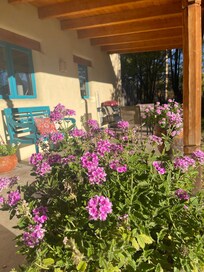 Verbenas in the front porch pots.