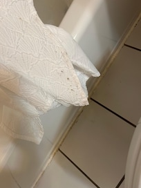 Molded shower curtain