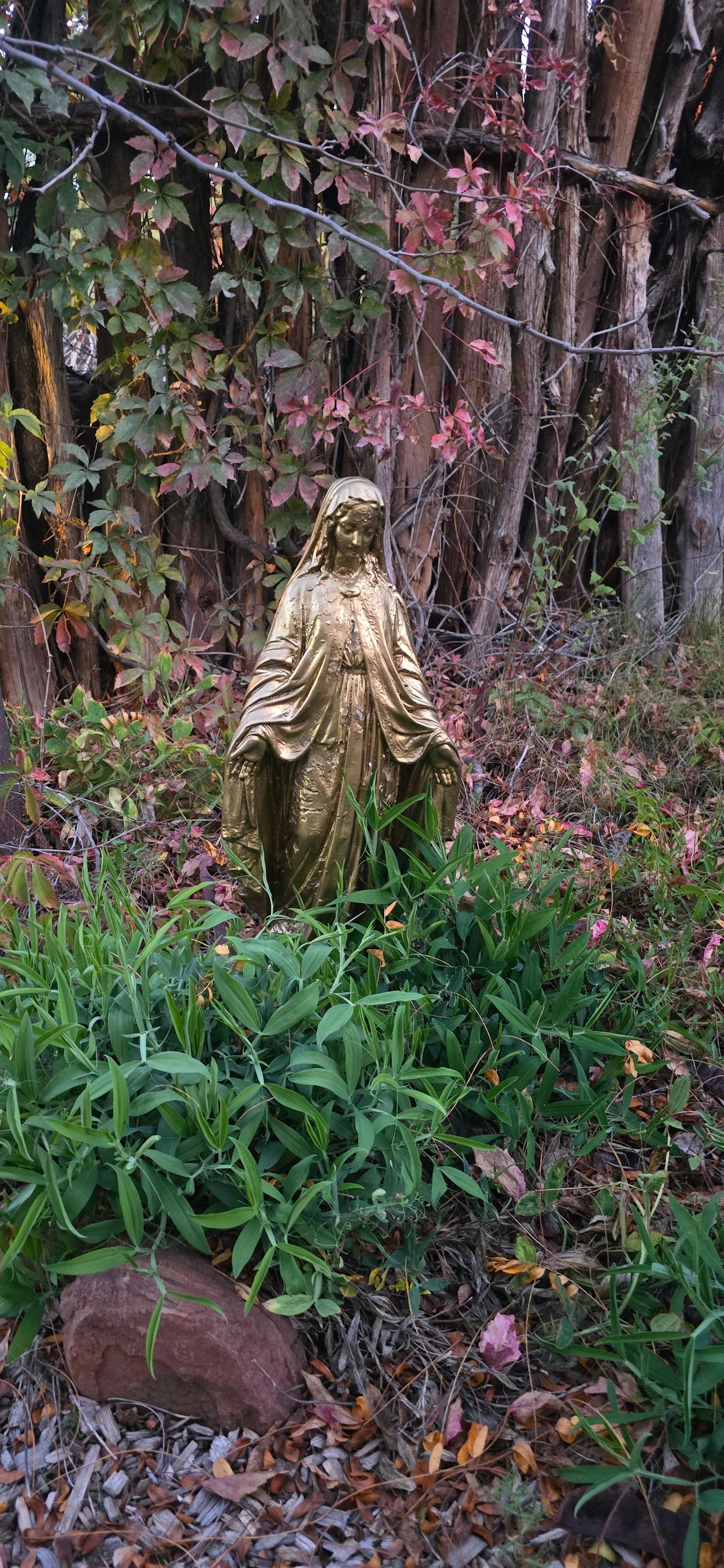 Beautiful trails in a private area.