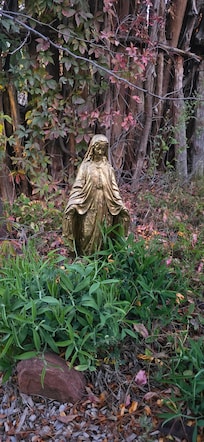 Beautiful trails in a private area.