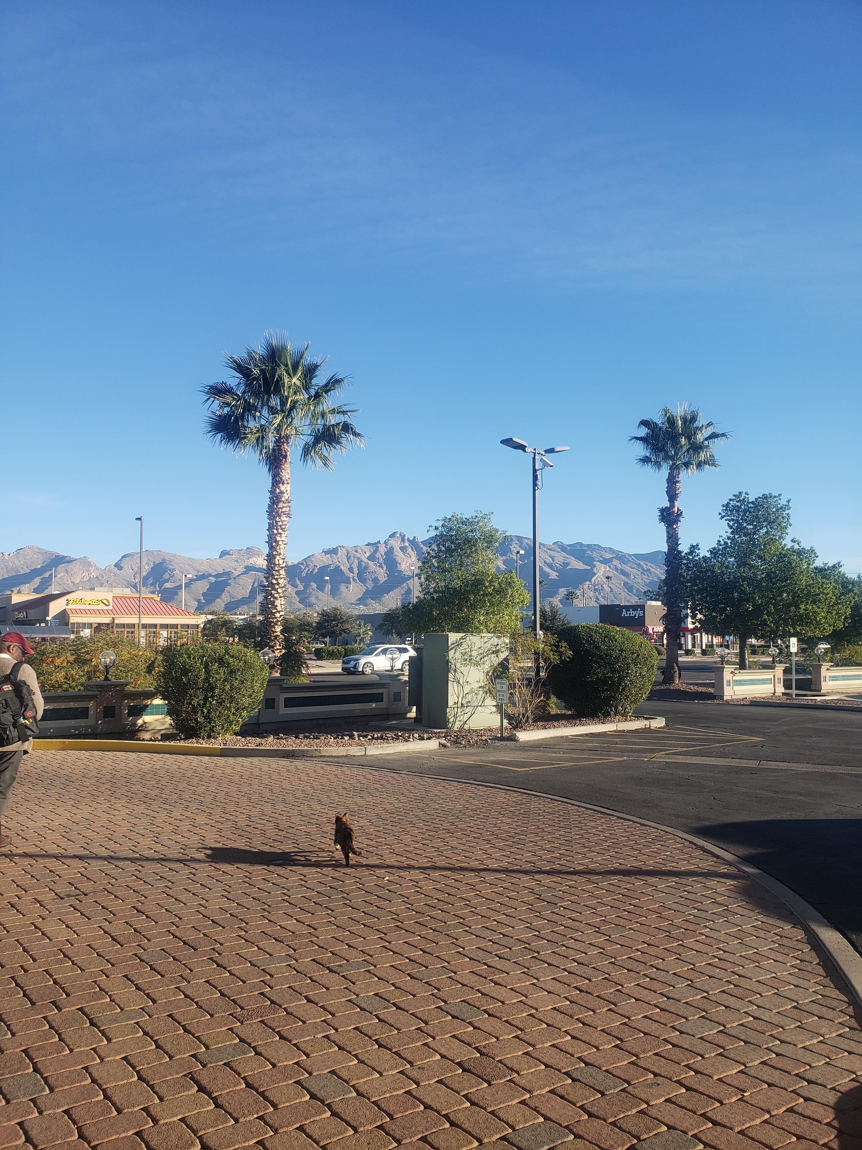 Nice view of the Mountains. 