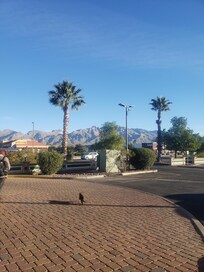 Nice view of the Mountains.