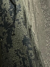 Another dead bug