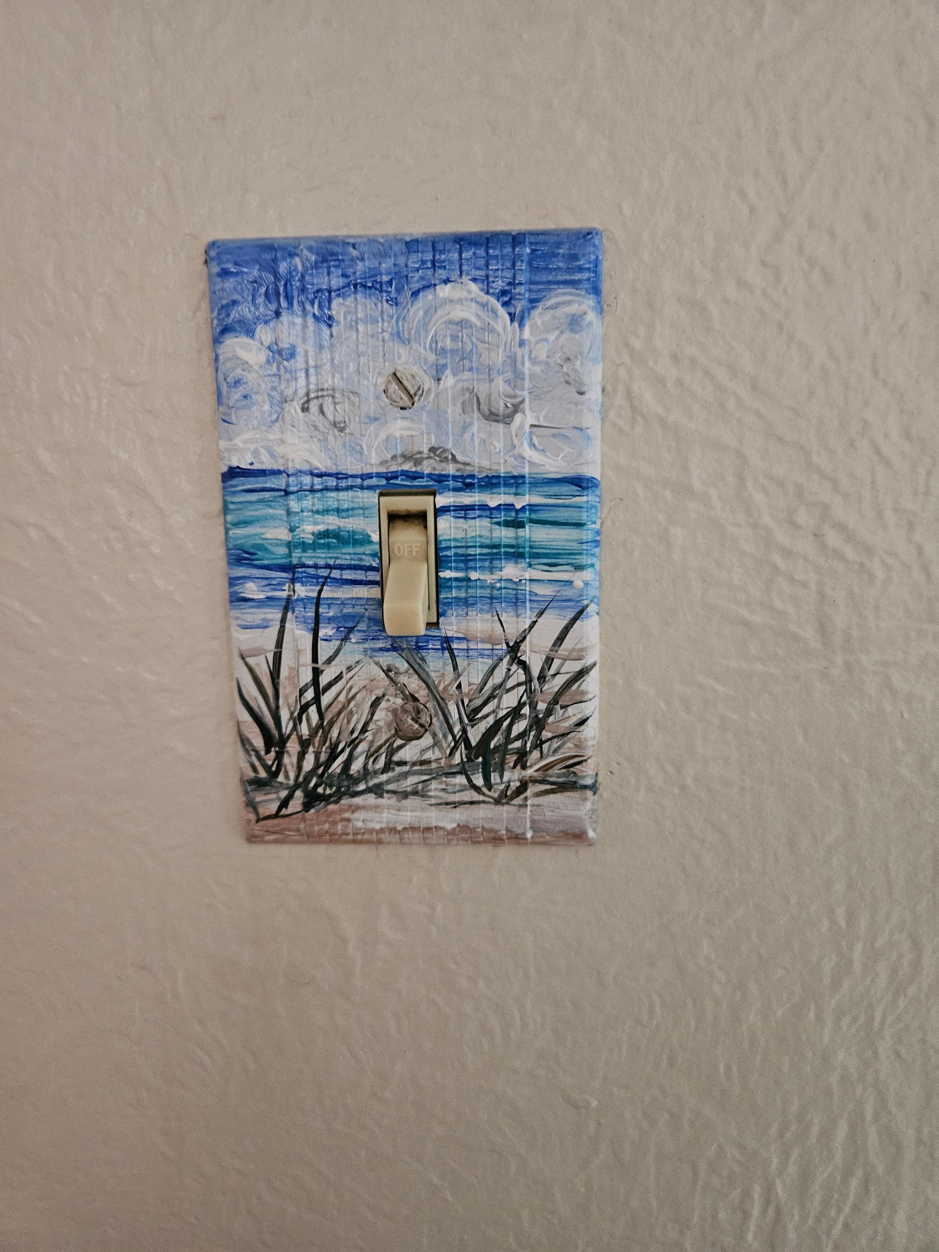 The host even painted the switch plates