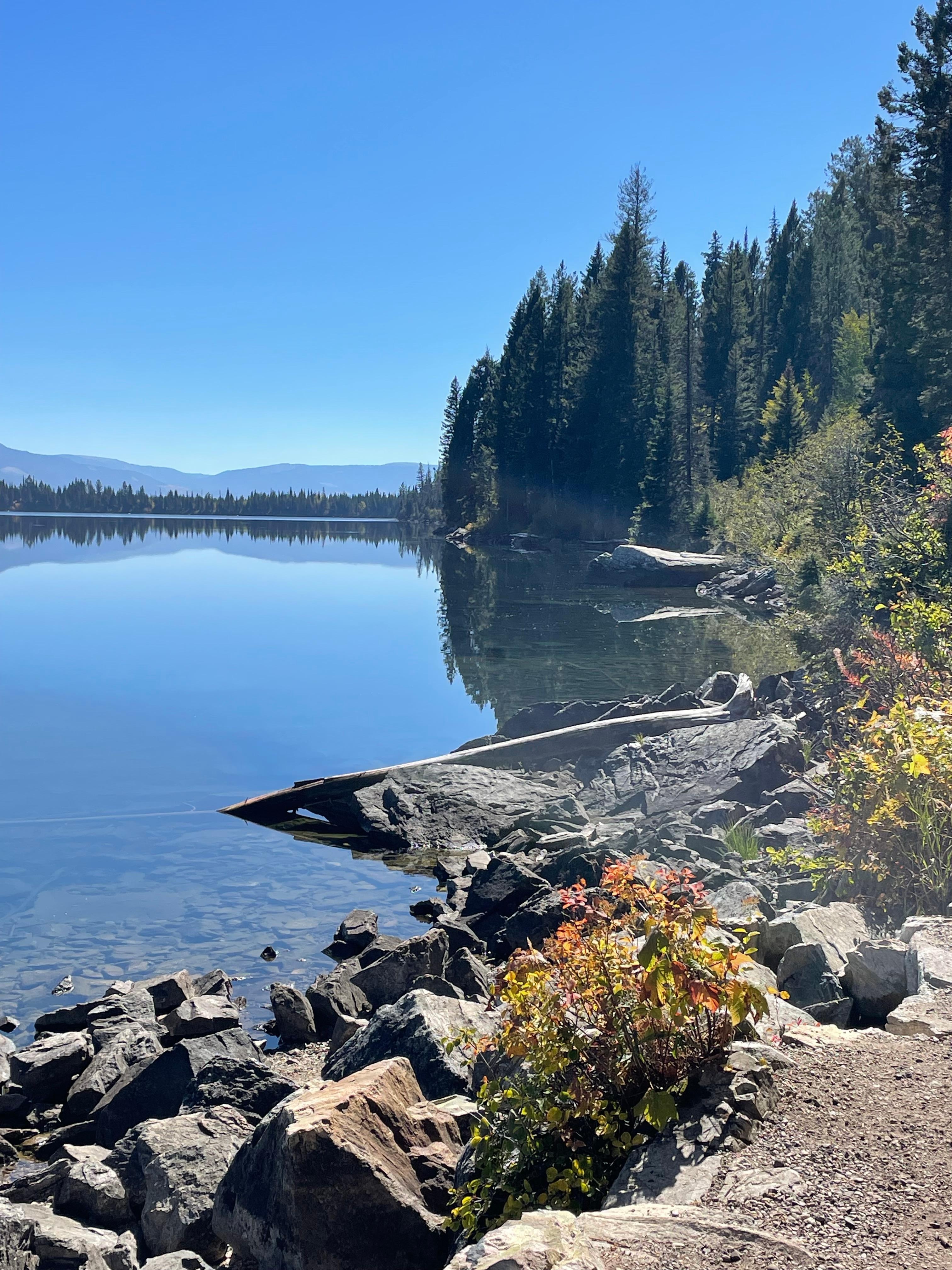 Jenny Lake hike. 