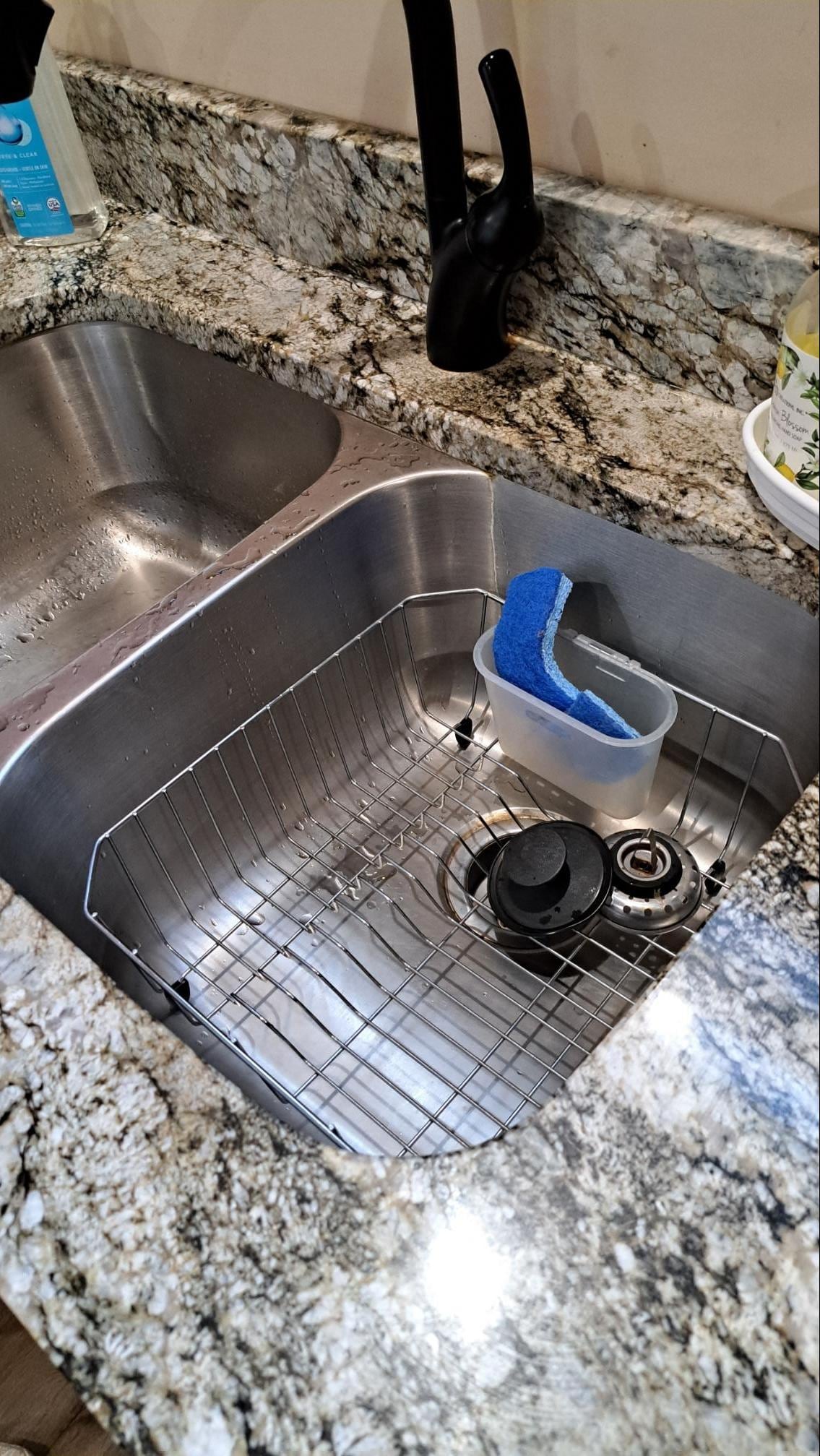 The Kitchen Sink as we Found it.  The sponges were used and moldy.