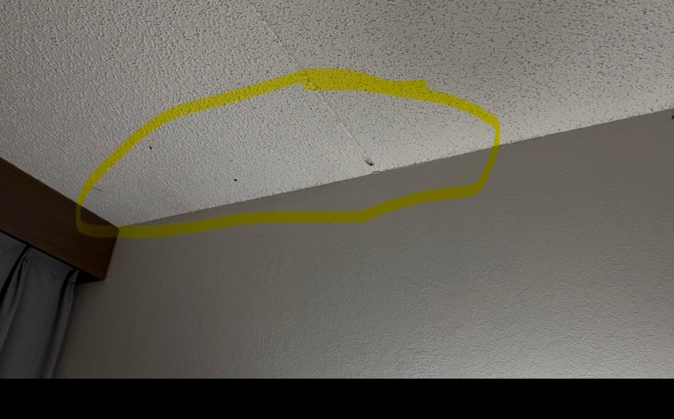 Bugs all over the floors