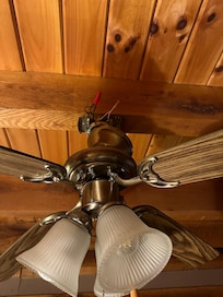 Exposed wires in ceiling fan.