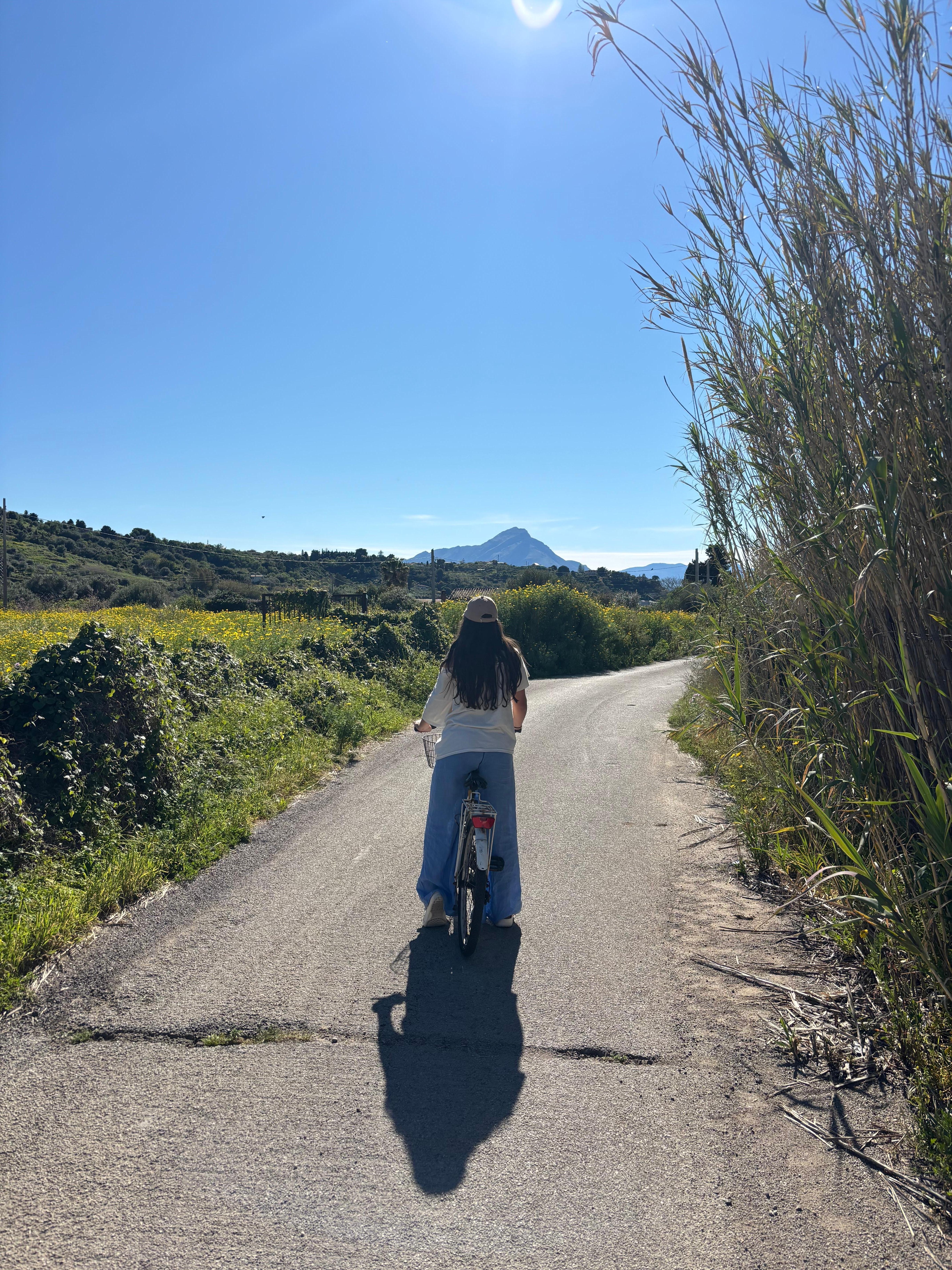 Bikes to ride