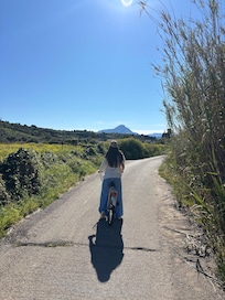 Bikes to ride